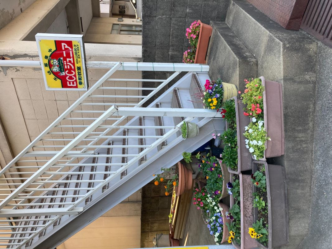 特徴